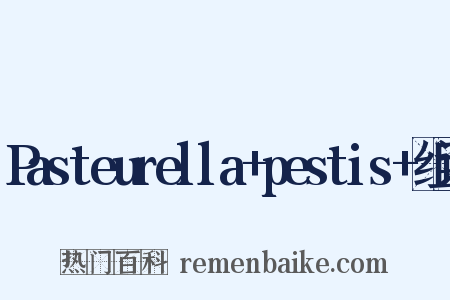 Pasteurella+pestis+组词是什么意思的图片